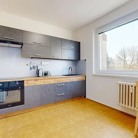 Apartmán Průběžná 606 Milovice (Central Bohemian)